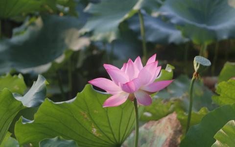 图片 _ 第(3)张