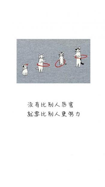 第3张