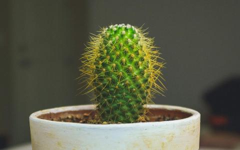 图片 _ 第(8)张