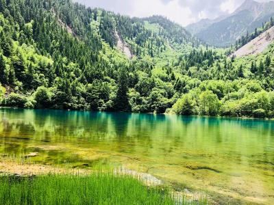 高清美景九寨沟唯美自然风景手机壁纸第4张