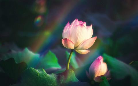 图片 _ 第(1)张