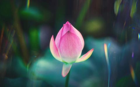 图片 _ 第(2)张