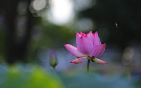 图片 _ 第(1)张