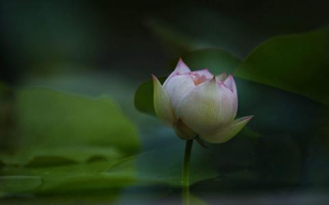图片 _ 第(4)张