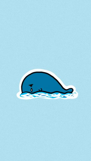 海豚第2张