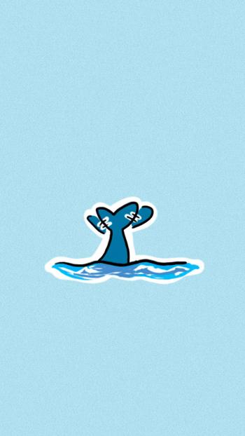 海豚第4张