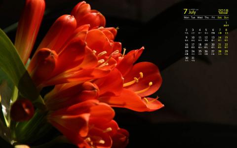 图片 _ 第(2)张