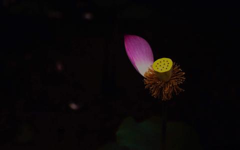 图片 _ 第(2)张