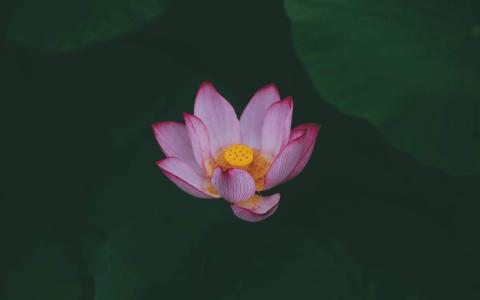 图片 _ 第(4)张