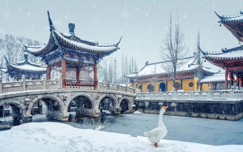 雪景图片 _ 第(1)张