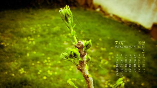 图片 _ 第(1)张