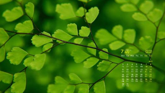 图片 _ 第(5)张