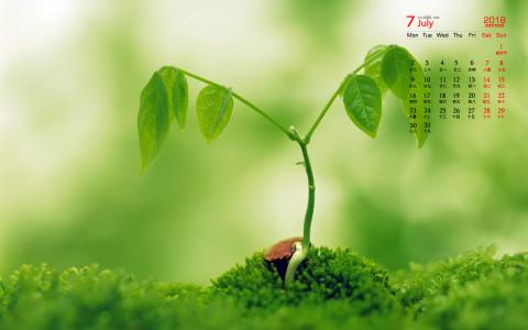 小清新植物嫩芽图片桌面壁纸第1张