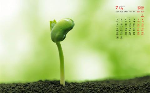 小清新植物嫩芽图片桌面壁纸第3张