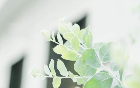 第1张