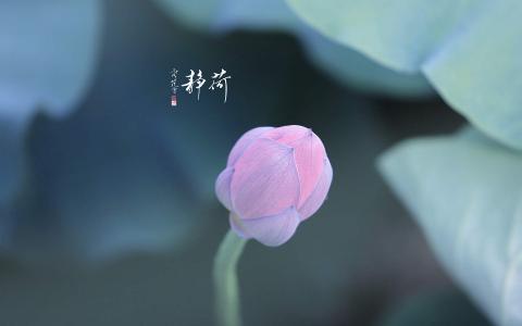 图片 _ 第(4)张