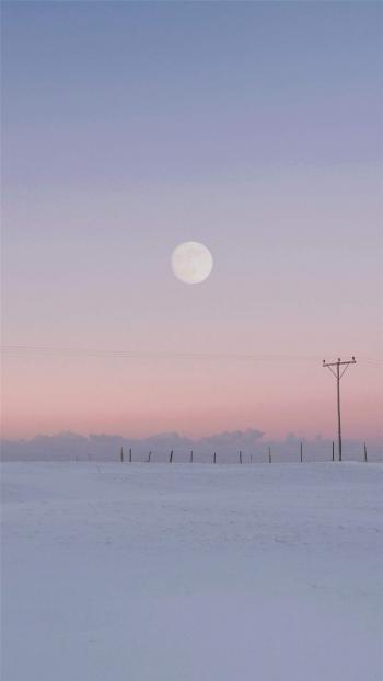 唯美清凉雪景高清手机壁纸第2张