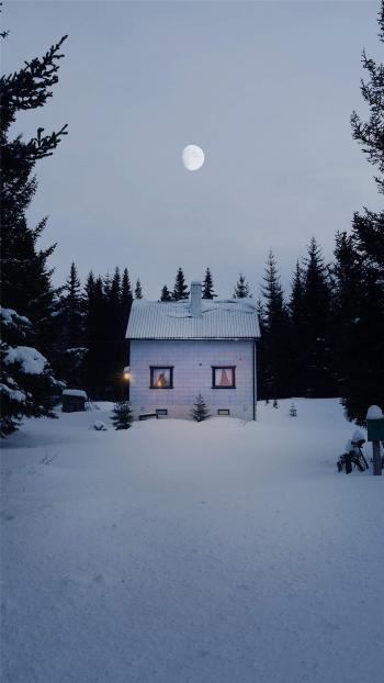 唯美清凉雪景高清手机壁纸第4张