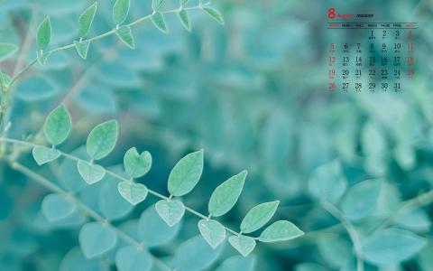绿色植物图片 _ 第(5)张