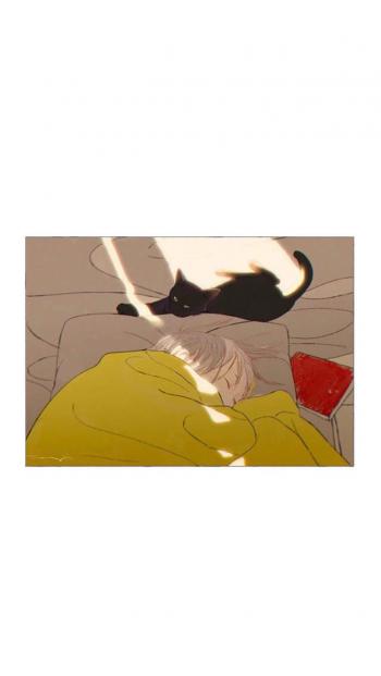 第3张