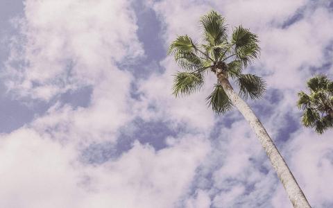 唯美海边风景图片手机壁纸第3张