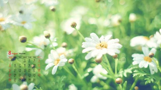 绿色植物图片 _ 第(2)张