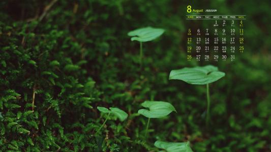 清新桌面图片 _ 第(8)张