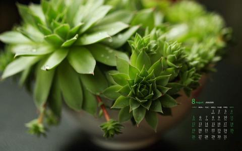 图片 _ 第(4)张