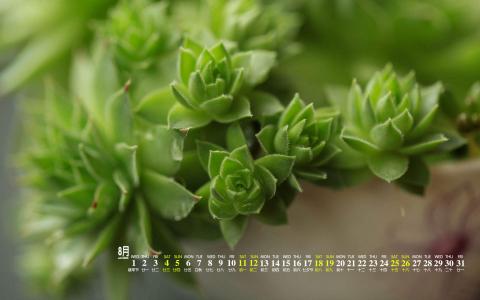 图片 _ 第(5)张