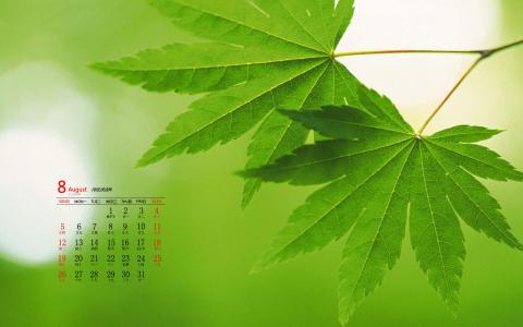 图片 _ 第(1)张