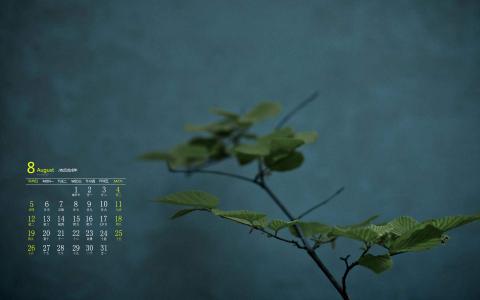 图片 _ 第(2)张