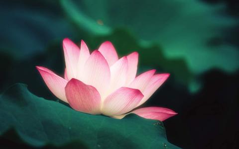 图片 _ 第(2)张