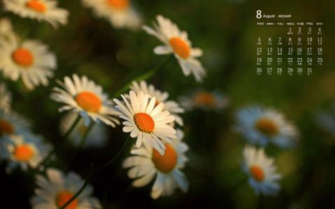 图片 _ 第(4)张
