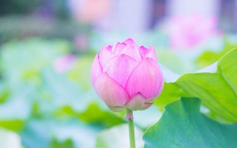 图片 _ 第(2)张