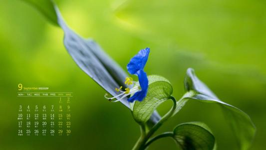 图片 _ 第(3)张