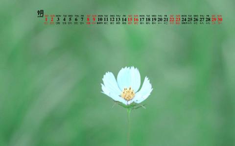 图片 _ 第(5)张