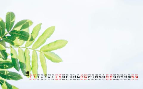 图片 _ 第(7)张