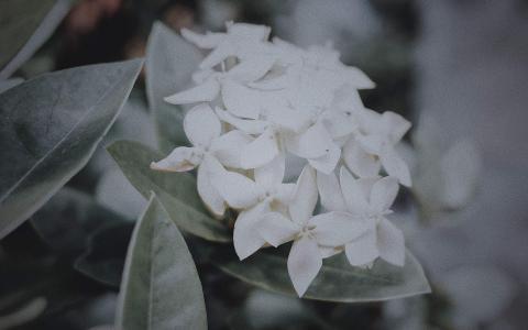 图片 _ 第(1)张