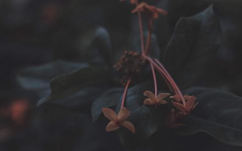 图片 _ 第(2)张