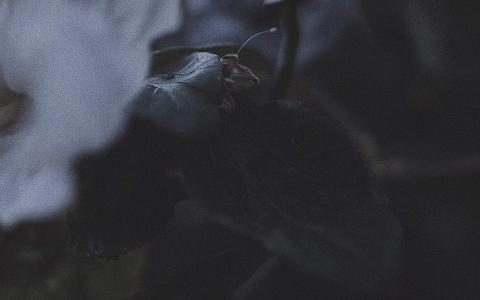 图片 _ 第(3)张
