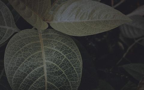 图片 _ 第(4)张