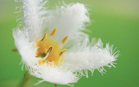 图片 _ 第(4)张