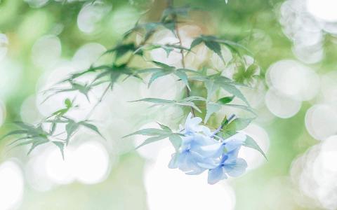 日系小清新图片 _ 第(10)张