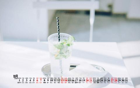 绿色植物图片 _ 第(5)张