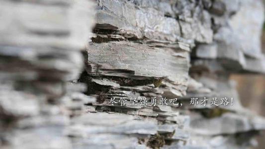 精美励志文字手机壁纸第1张