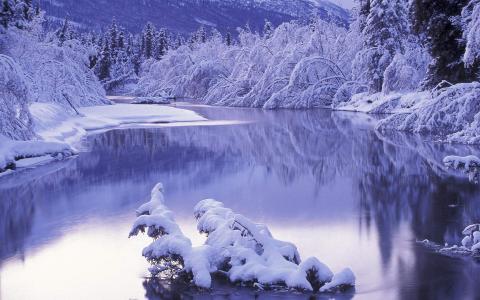 雪景图片 _ 第(1)张