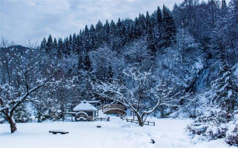 雪景图片 _ 第(2)张