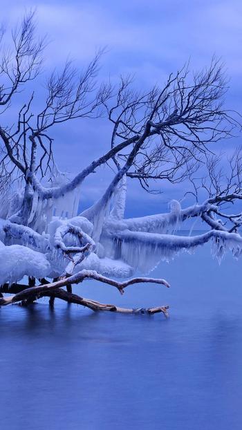雪景图片 _ 第(3)张