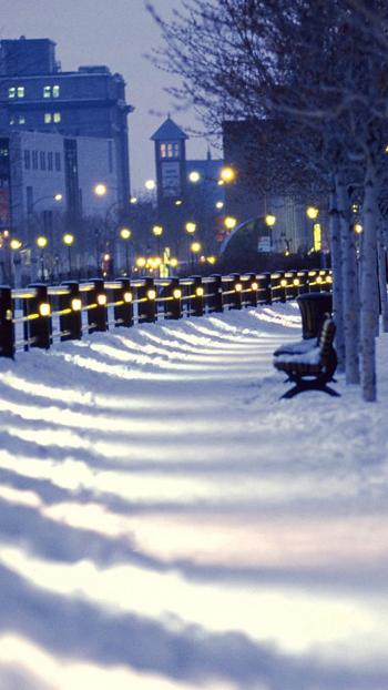 雪景图片 _ 第(5)张