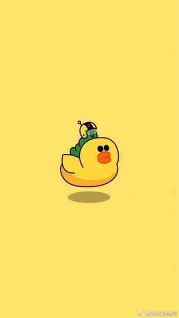 第1张